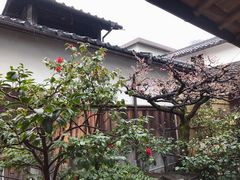 -中村藤吉(本店)