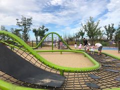 -南汇嘴观海公园