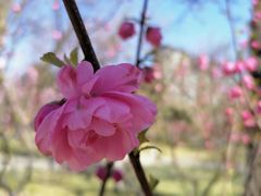 -玲珑塔公园