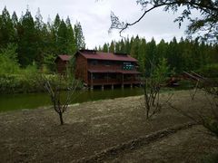 -黄海国家森林公园