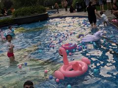 -上海浦东星河湾酒店