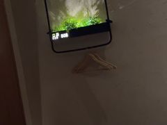 -新紫霞养生·影院足道·SPA(金山区店)
