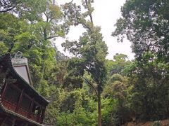 -南华禅寺