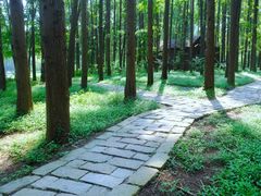 -同里国家湿地公园