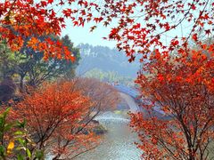 -田野绿世界