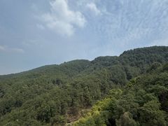 -铁山坪森林公园