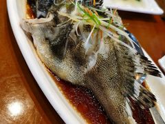 清蒸石斑鱼-南海渔家•海鲜•正宗海南菜(海棠湾店)