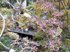 -丹东天桥沟景区