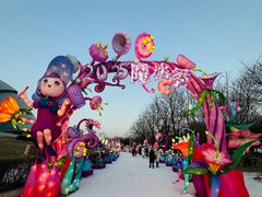 -沈阳奥体冰雪嘉年华