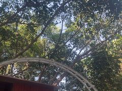 -碧水湾温泉