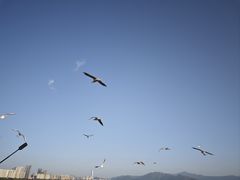 -深圳湾公园(南山区)