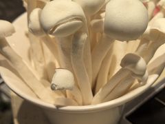 -龙福成肥牛火锅(文昌店)