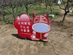-梅花山(明孝陵内)