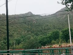 -妙峰山风景名胜区
