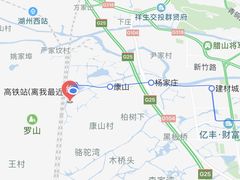 -野荸荠