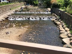 -北仑森林植物园