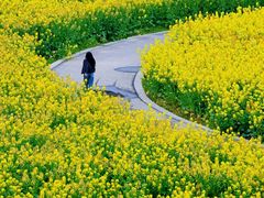 -中国天府农业博览园