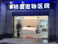 -格蕾宠物医院24H·猫科·肿瘤科·骨科中心(福州总院)