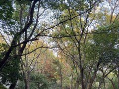 -杭州半山国家森林公园