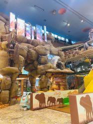 -卡通尼·Safari非洲探索乐园·生日会(金桥国际商业广场店)