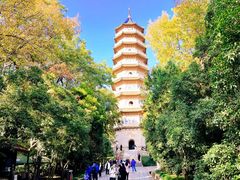-灵谷景区