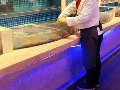 -乔哥铭洋海鲜自助(皇城恒隆广场店)