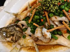 鲜花椒蒸鱼-猪肉婆私房菜(容桂总店)