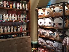 -猫咪博物馆(顶澳仔猫街店)