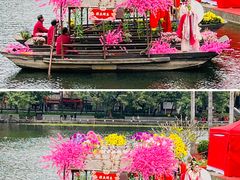-荔湾湖公园