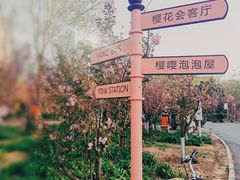 -长白岛森林公园