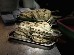 -杨合林啊兰烤鱼