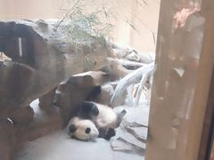 -宁波野生动物园
