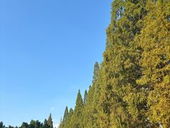 -采石矶景区