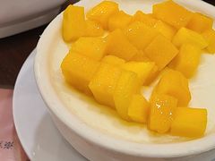 南信双皮奶-南信牛奶甜品专家