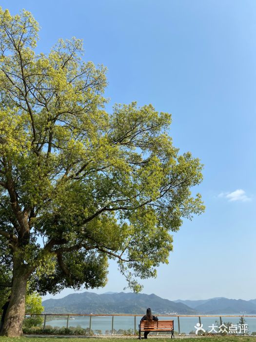 东钱湖小普陀景区图片