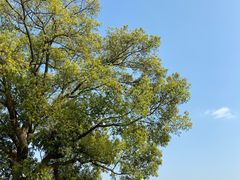 -东钱湖小普陀景区