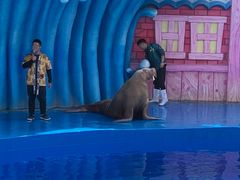 -华夏文旅海洋公园