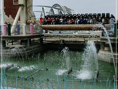 -大连海昌发现王国主题公园