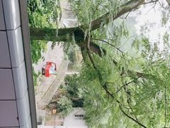 -清泉馆(望江路店)