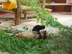 -杭州野生动物世界