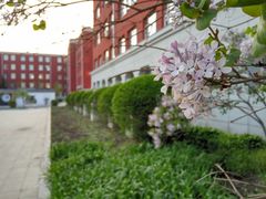 -长春市十一高中