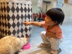 -猫小院猫主题餐厅(南锣旗舰店)