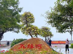 -五缘湾湿地公园