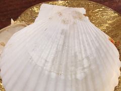 -黑松白鹿(崇文门新活馆店)