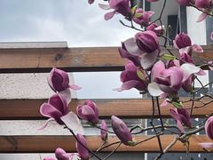 -秋果四合院酒店(北京王府井协和医院店)