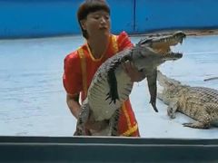 -北戴河圣蓝海洋公园