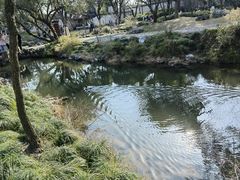 -拙政园
