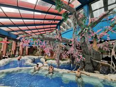 -中铁花水湾温泉酒店(大邑店)