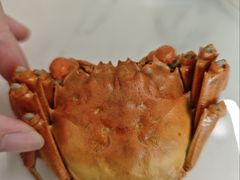-七的湖·江南蟹舫·阳澄湖农家菜(蟹舫苑店)