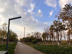 -呈贡滇池生态湿地公园